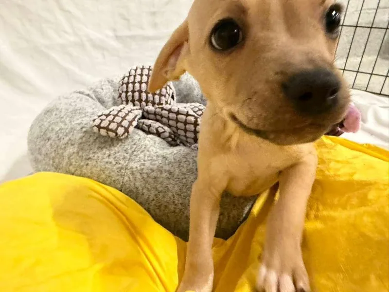 Bob Marley thumbnail 3