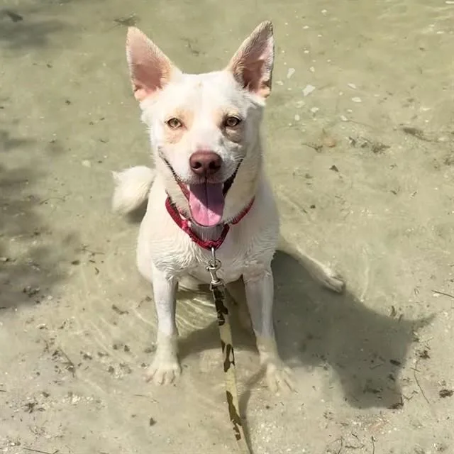 Pablo
