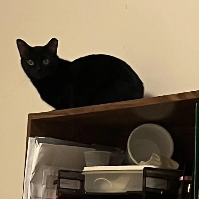 Luxey