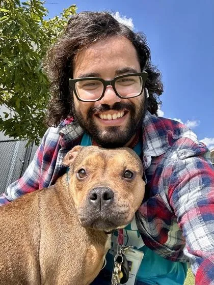 Brownie thumbnail 3