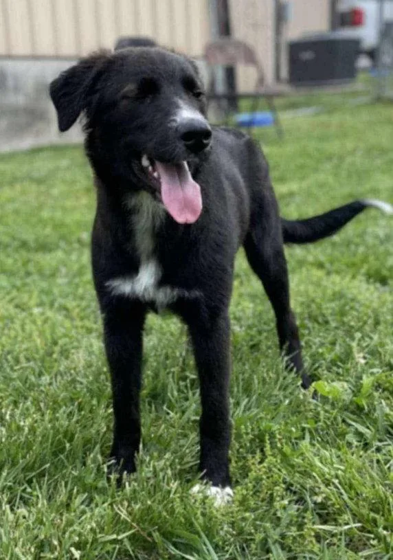 Maggie