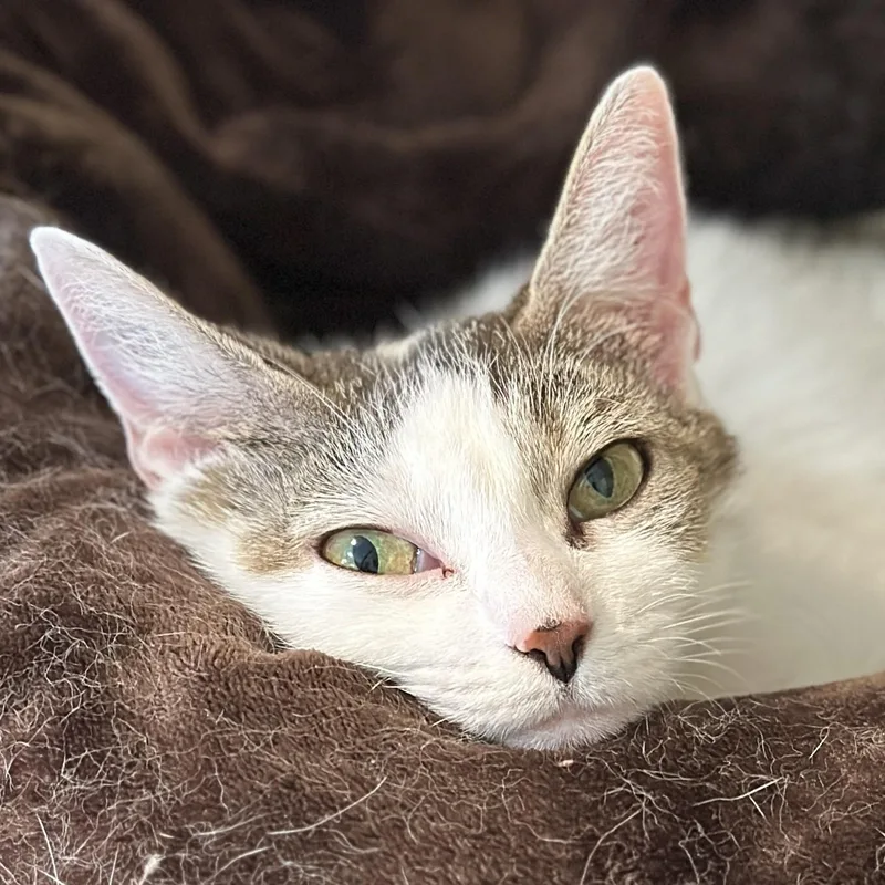 Maisy Mae thumbnail 2
