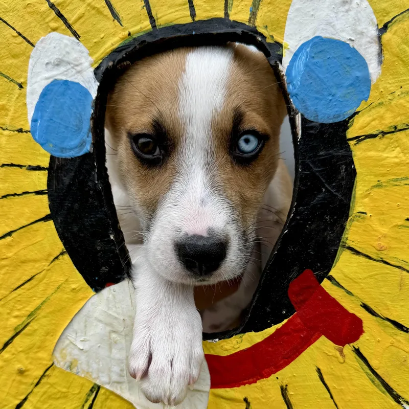 Athena thumbnail 3
