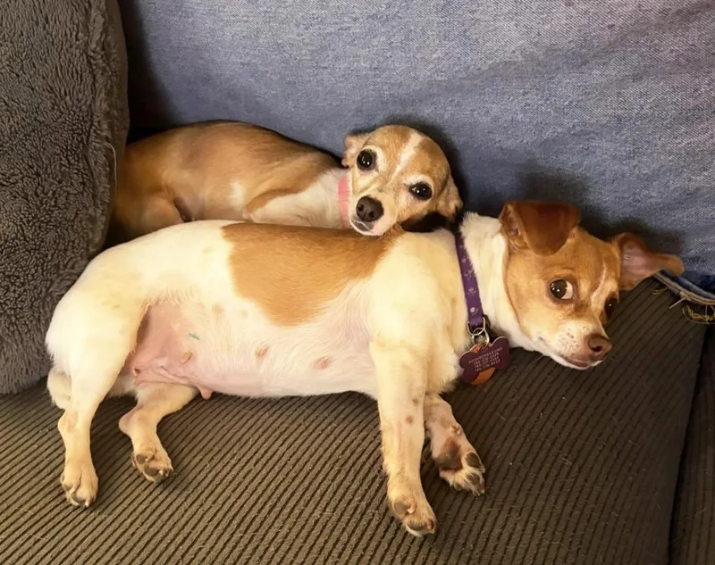 Bernadette thumbnail 4