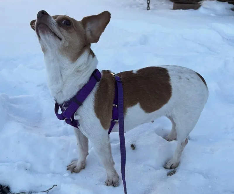 Bernadette thumbnail 5