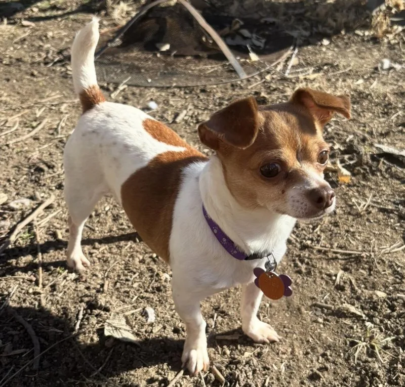 Bernadette thumbnail 6