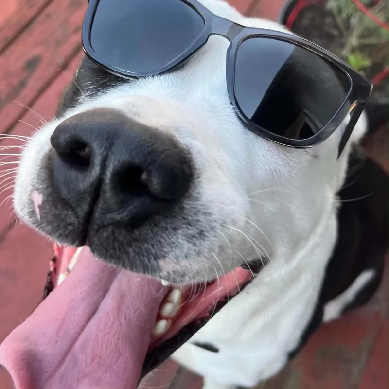 Oakley thumbnail 4
