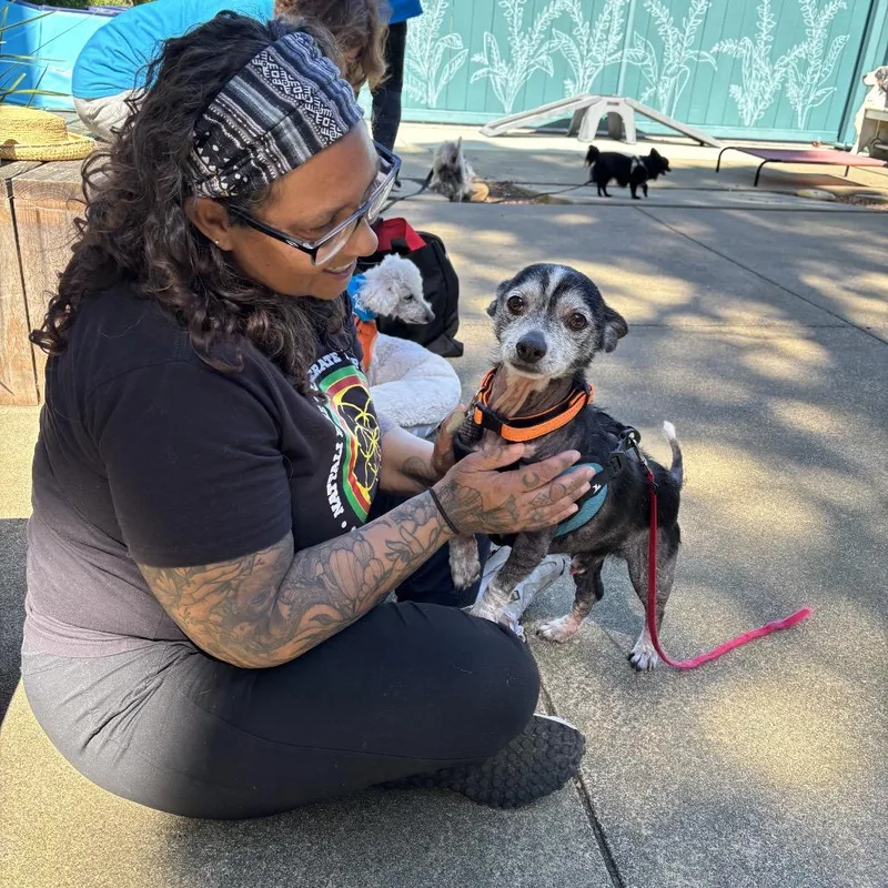 Rolly Polly thumbnail 5