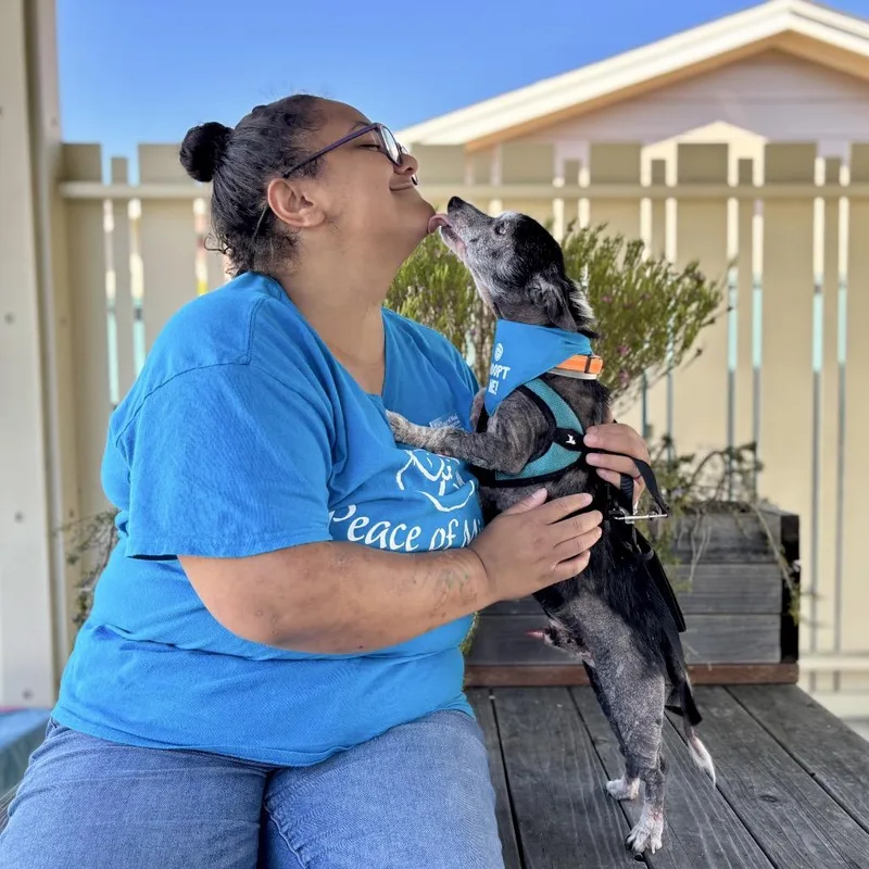 Rolly Polly thumbnail 6