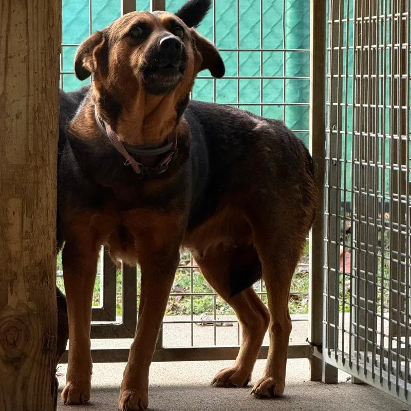 Martha Maywho thumbnail 2