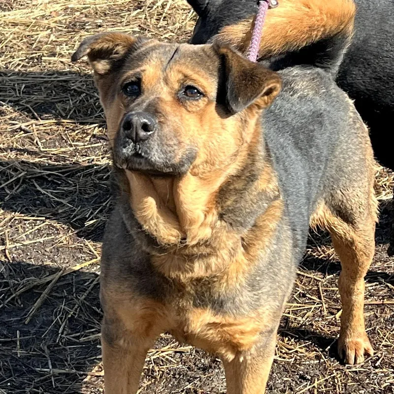 Martha Maywho thumbnail 3