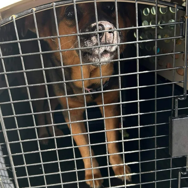 Martha Maywho thumbnail 4