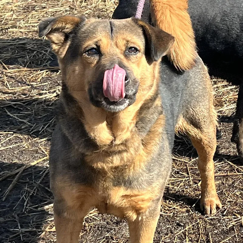 Martha Maywho thumbnail 5