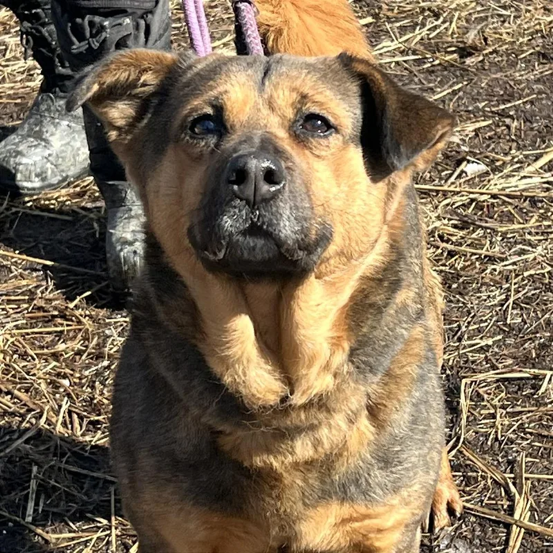 Martha Maywho thumbnail 6