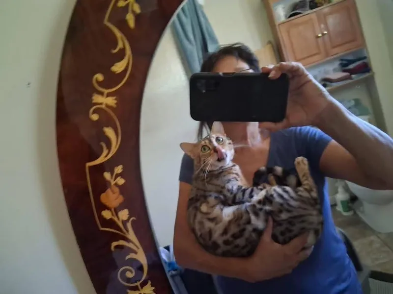Pounce  Tn thumbnail 4