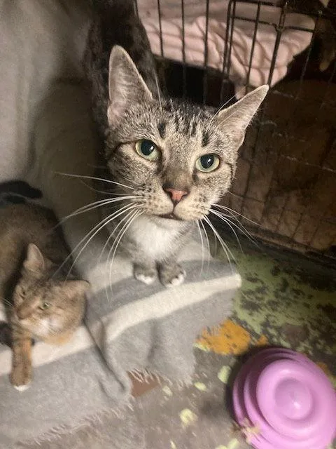 Blizzard thumbnail 2