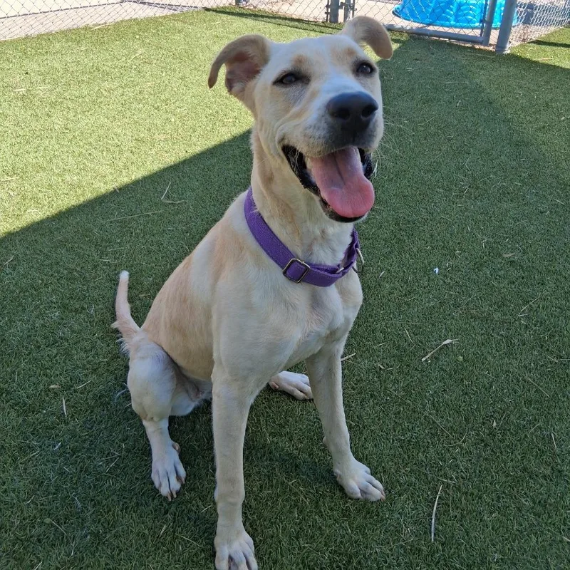 Honeybun thumbnail 6