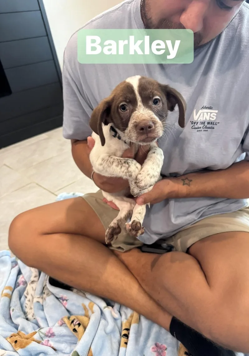 Barkley