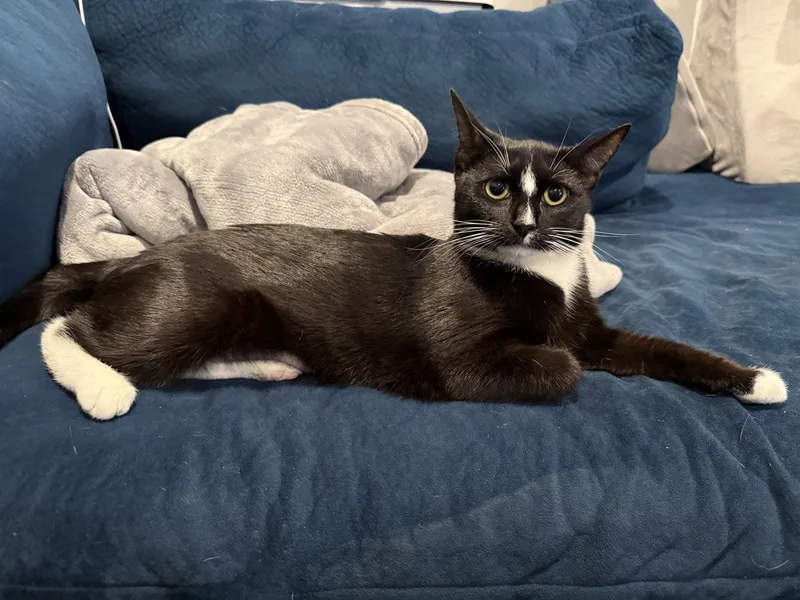 Rory  Visit At thumbnail 3