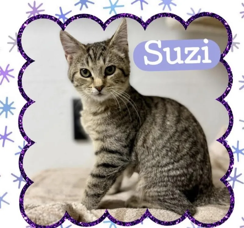Suzi