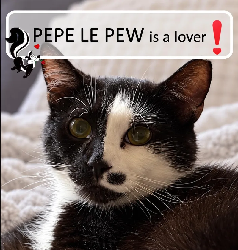 Pepe Le Pew thumbnail 2