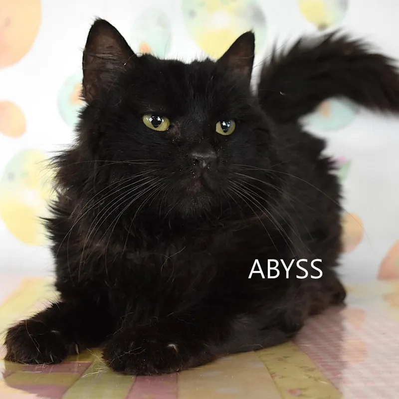 Abyss thumbnail 2