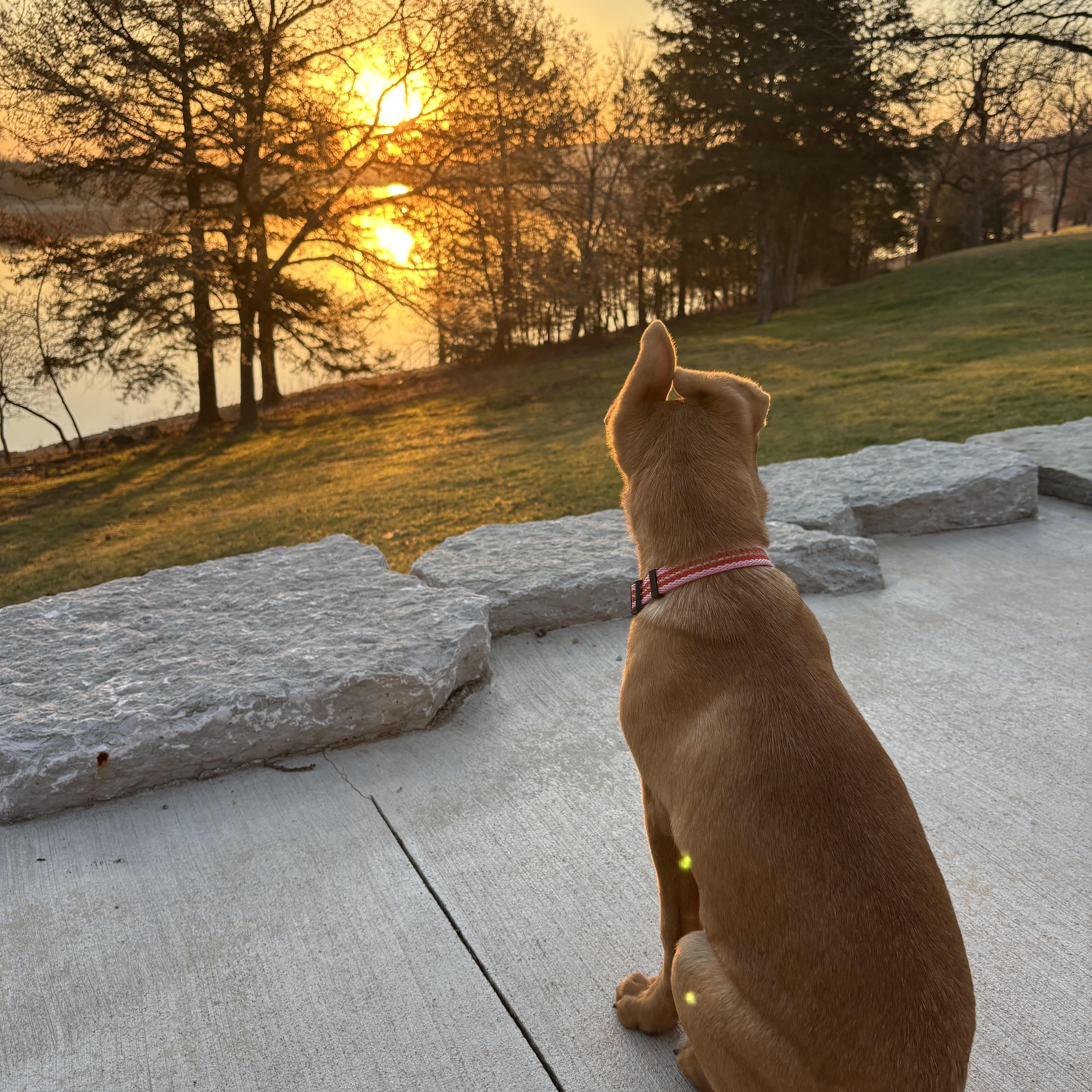 Maisy May thumbnail 2