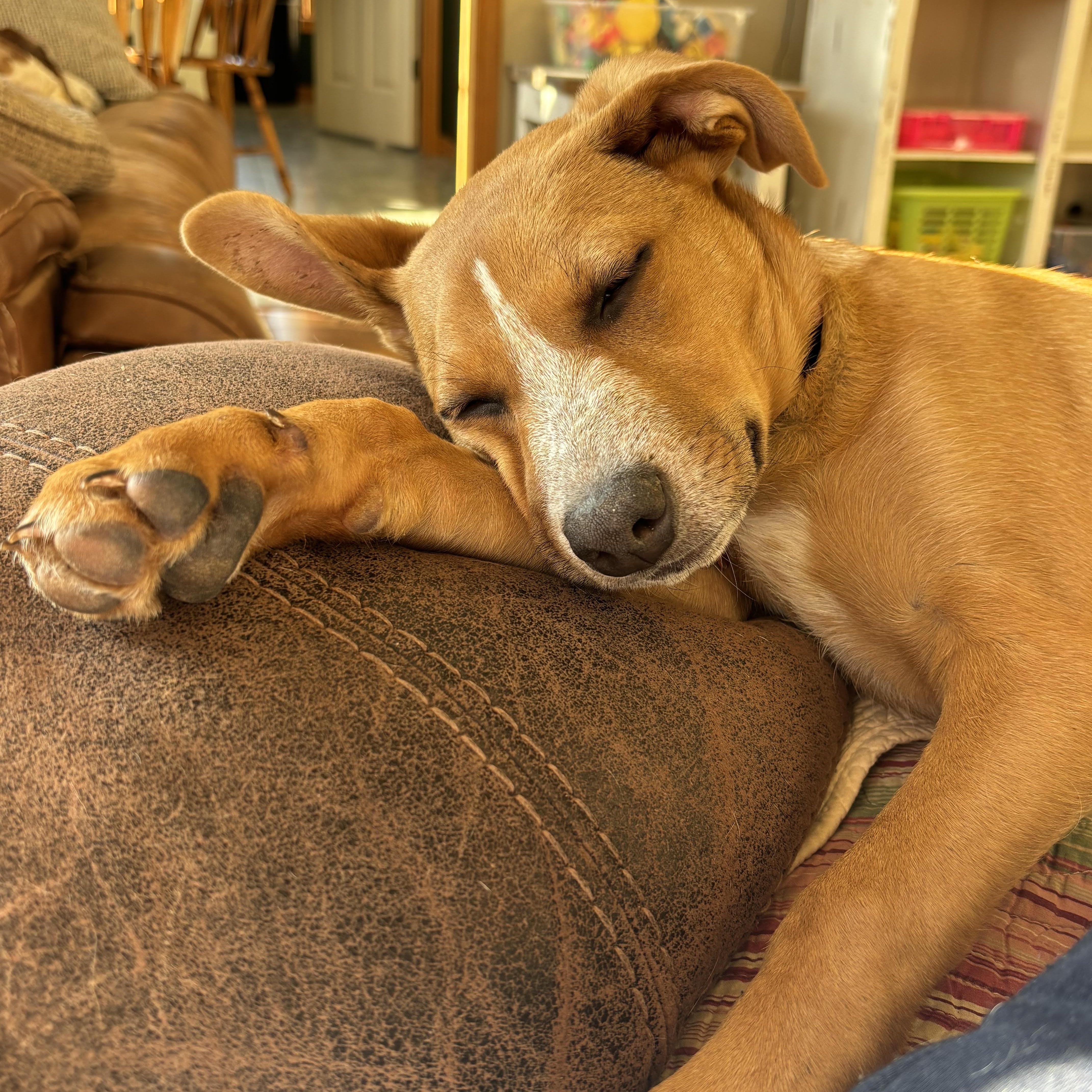 Maisy May thumbnail 4