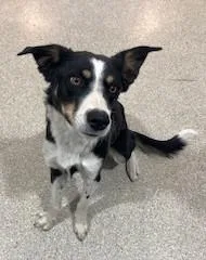 Wyatt Earp thumbnail 3