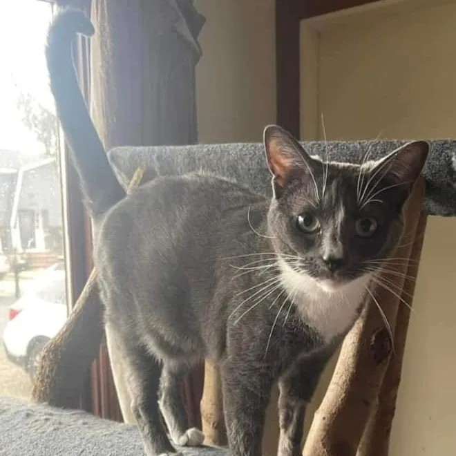 Juliette thumbnail 3