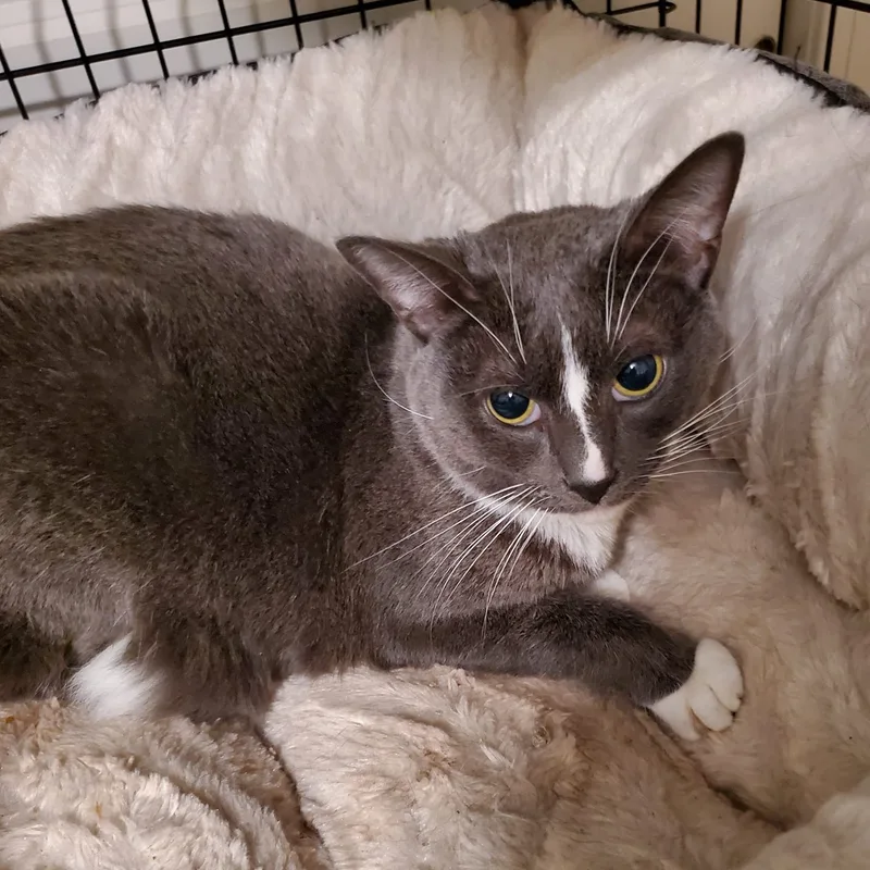 Juliette thumbnail 4