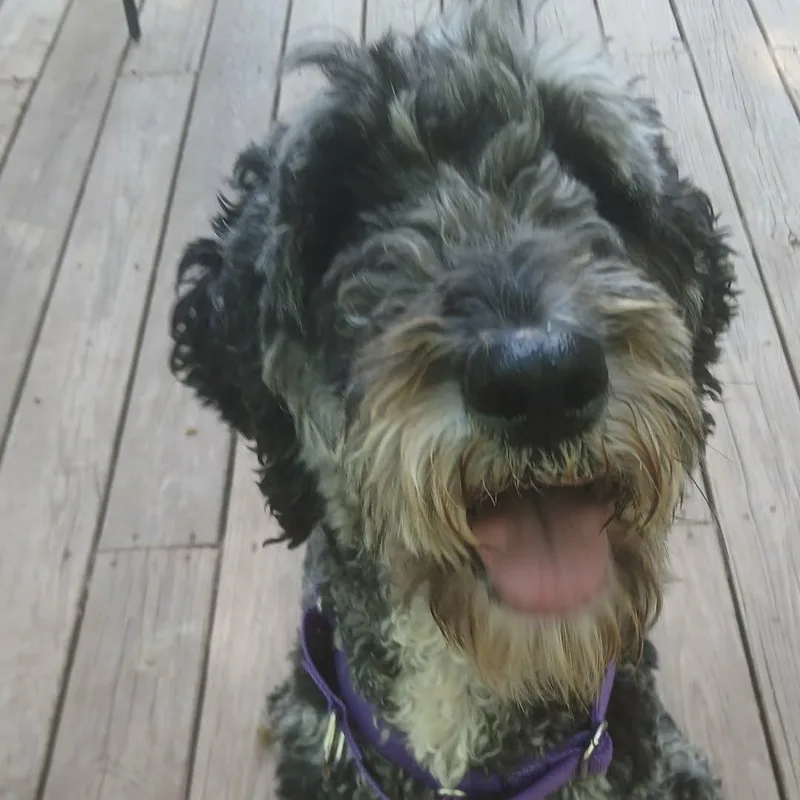 Nyla thumbnail 4