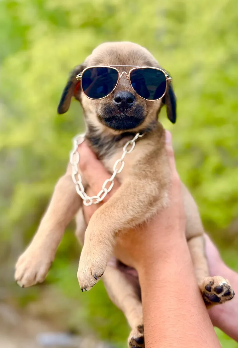 Benedict thumbnail 2