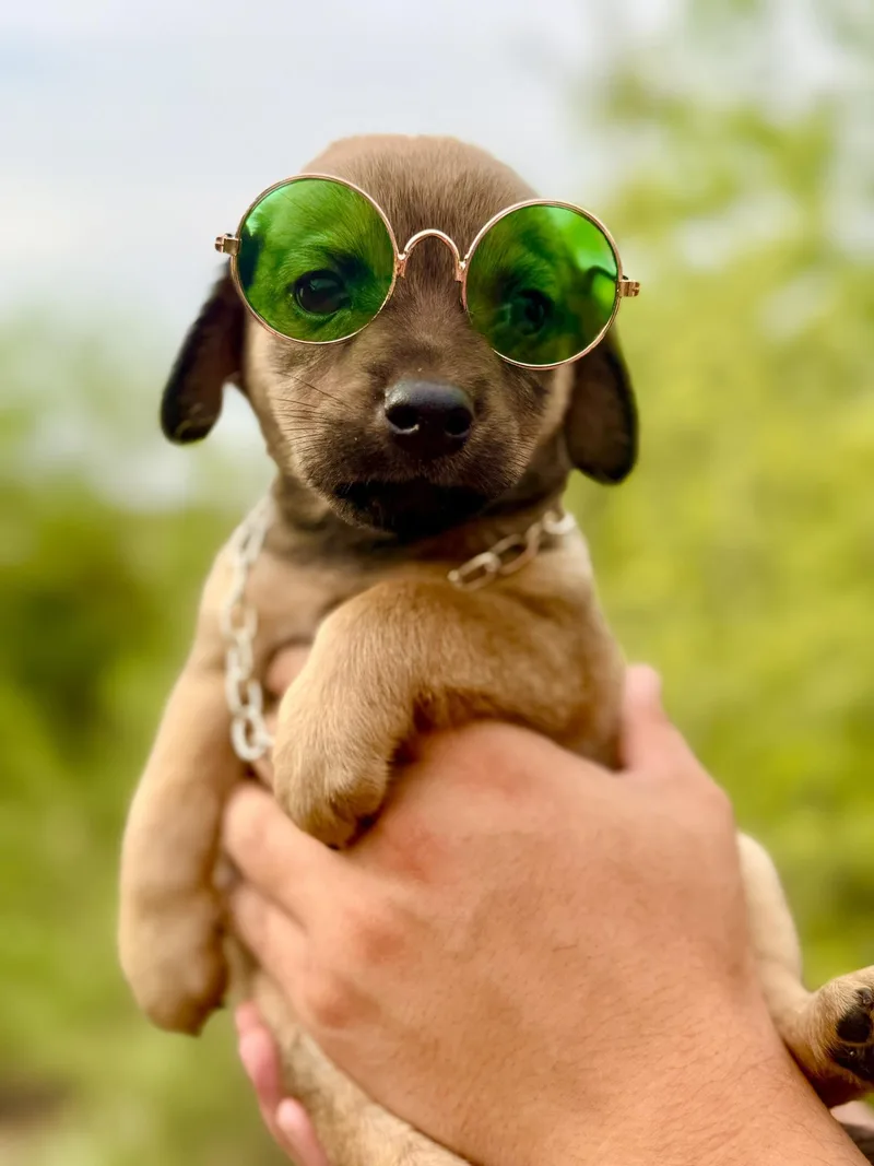 Benedict thumbnail 6