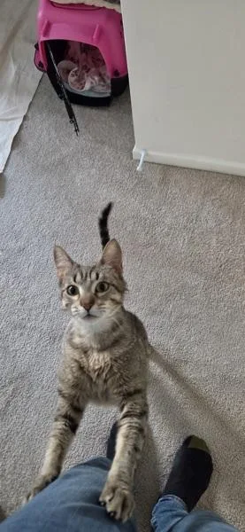 Luna