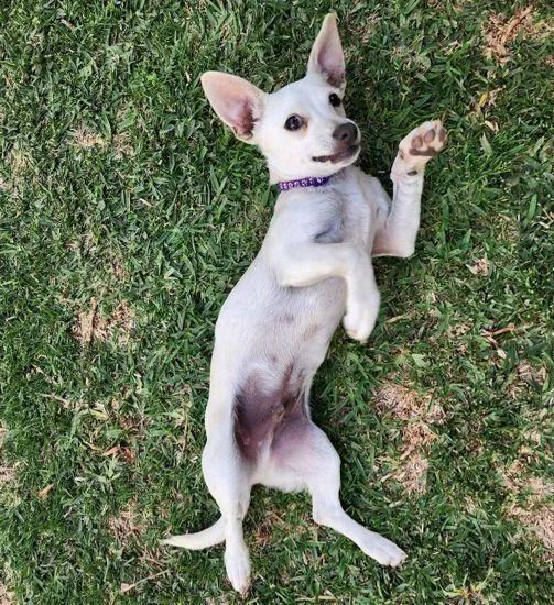 Lucky Zero thumbnail 2