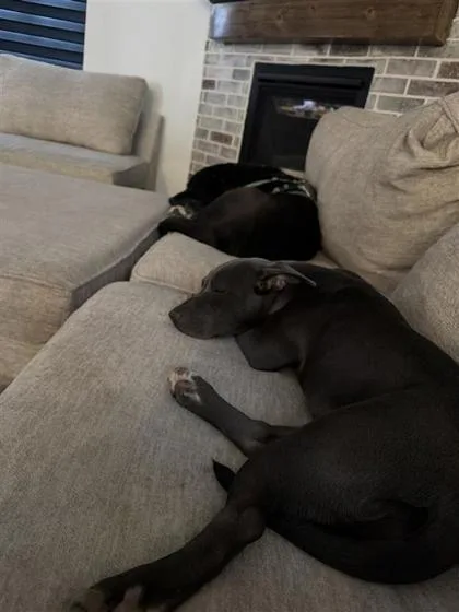 Luna Lana Honey Rose