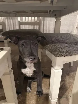 Luna Lana Honey Rose thumbnail 2