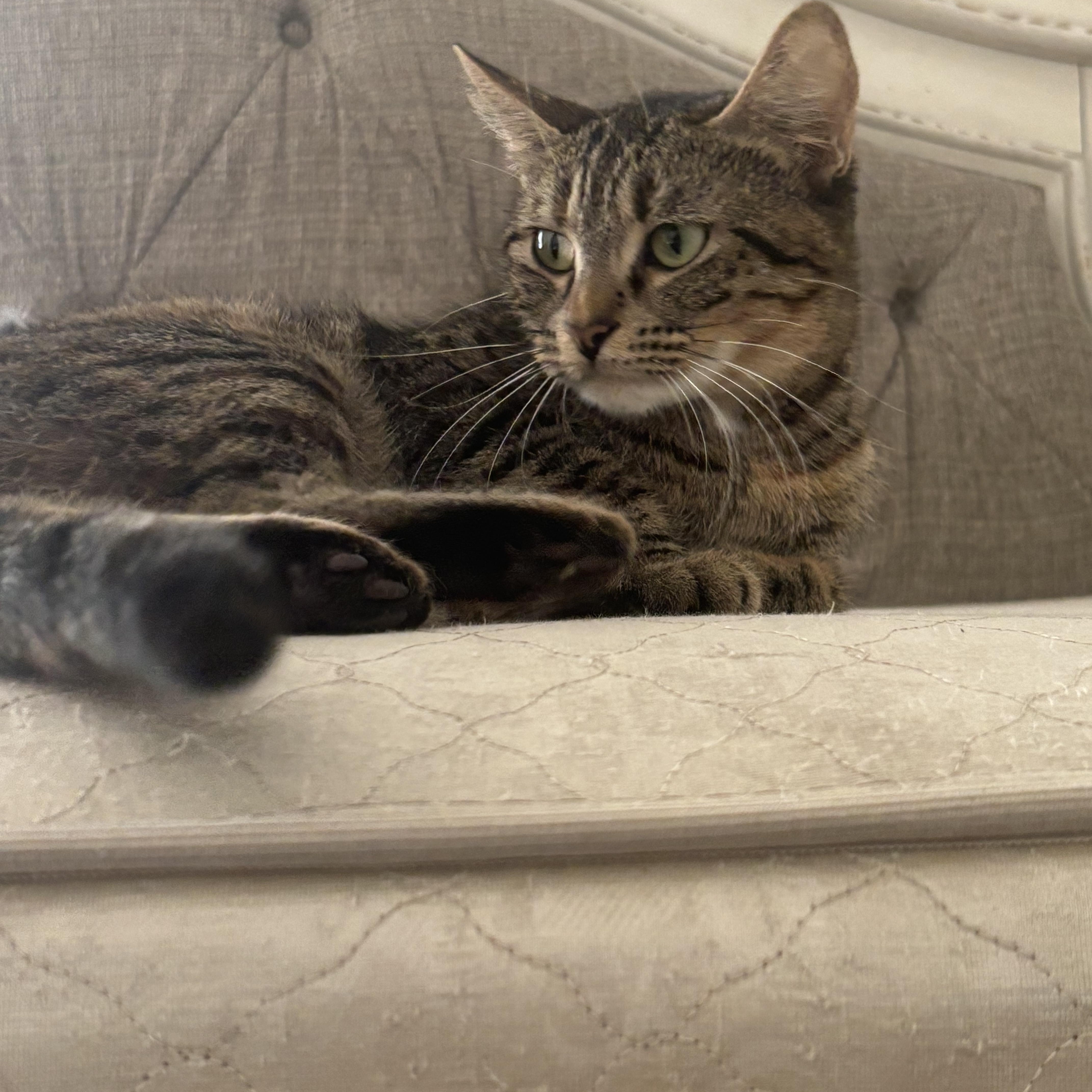 Daisy And Leo thumbnail 2