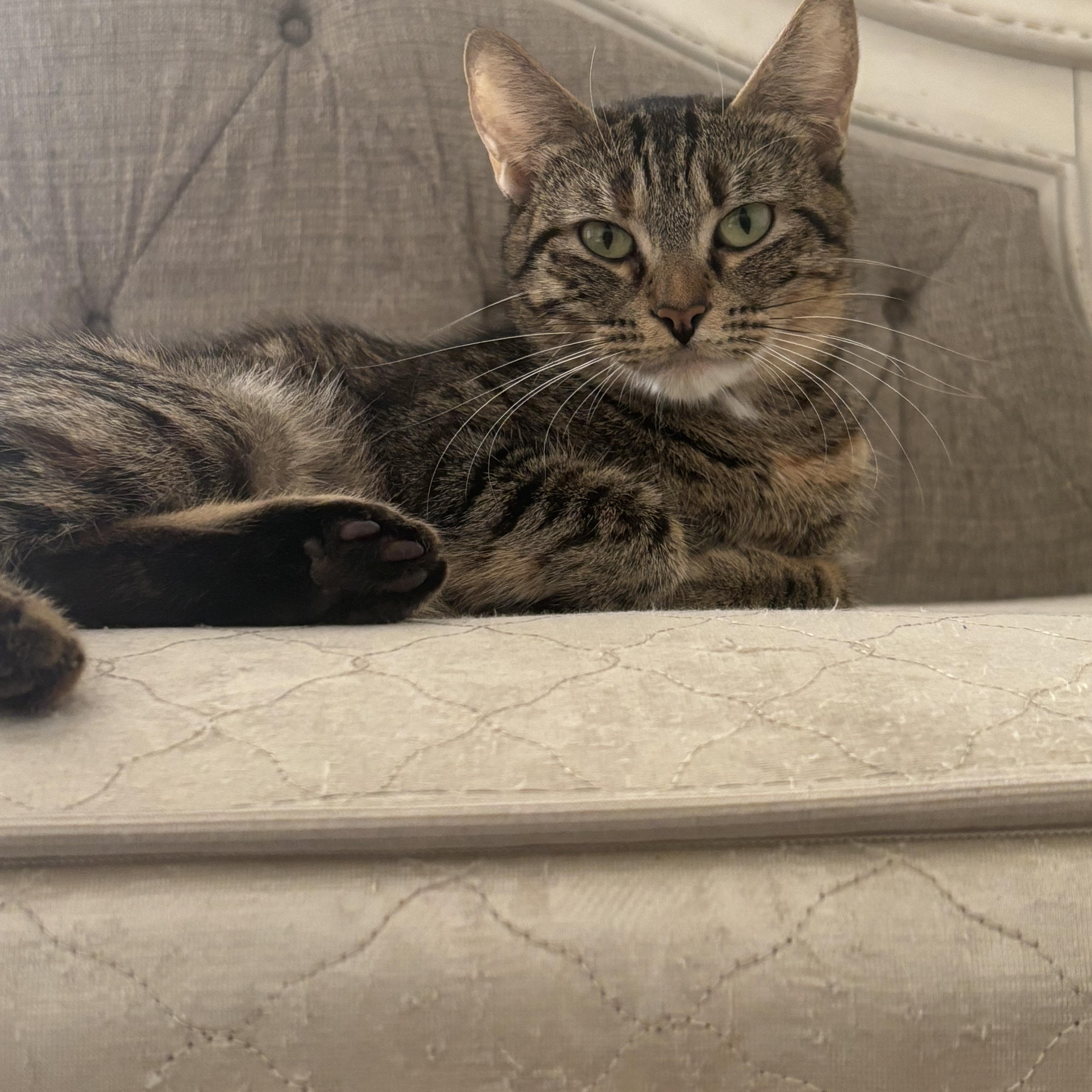 Daisy And Leo thumbnail 3