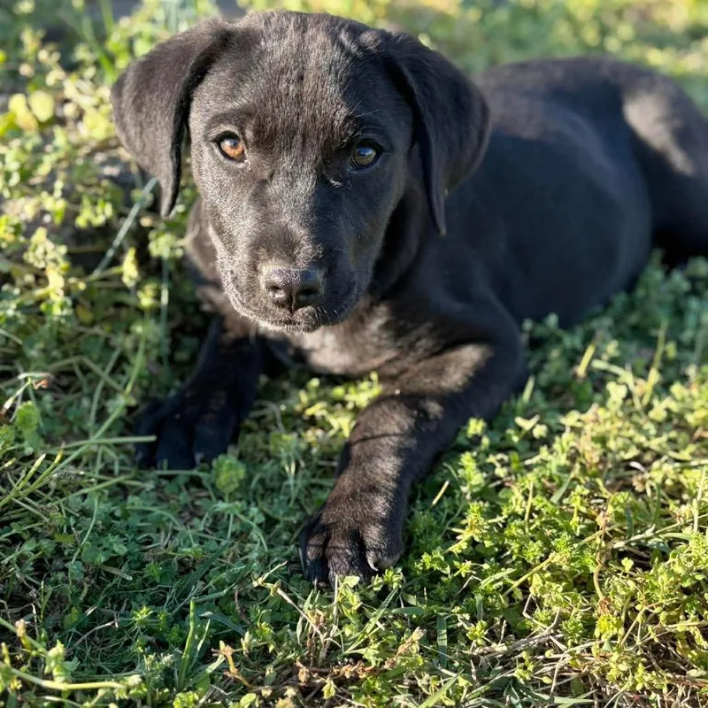 Richard Webber thumbnail 2