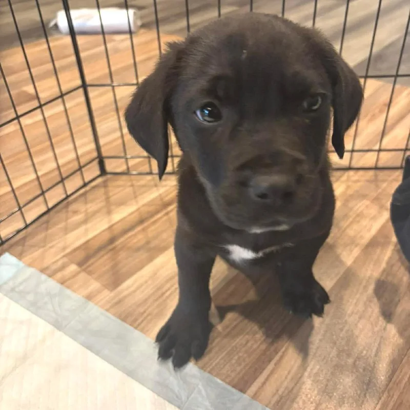 Richard Webber thumbnail 3