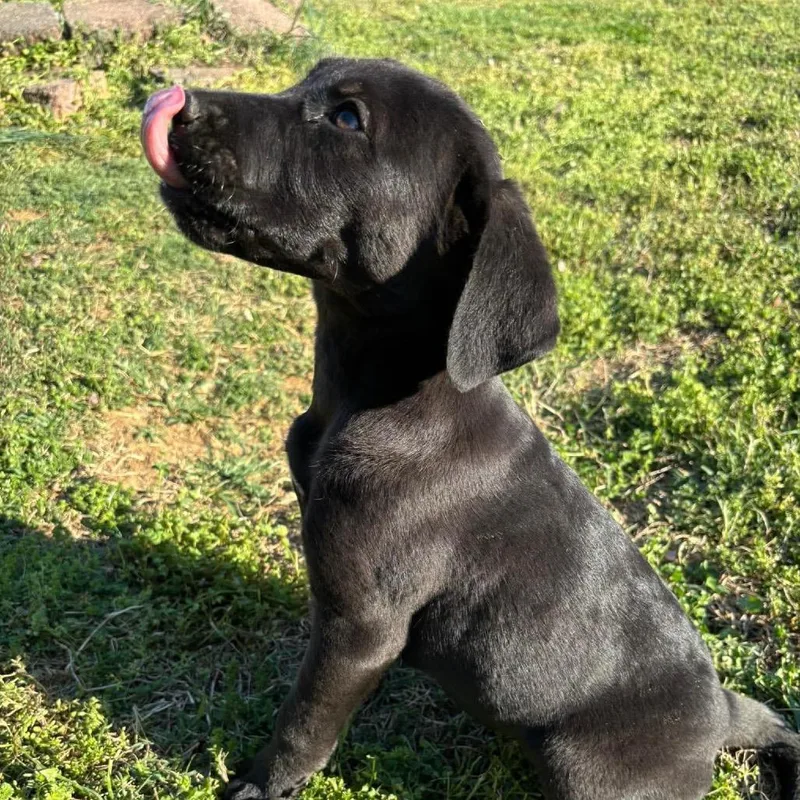 Richard Webber thumbnail 4