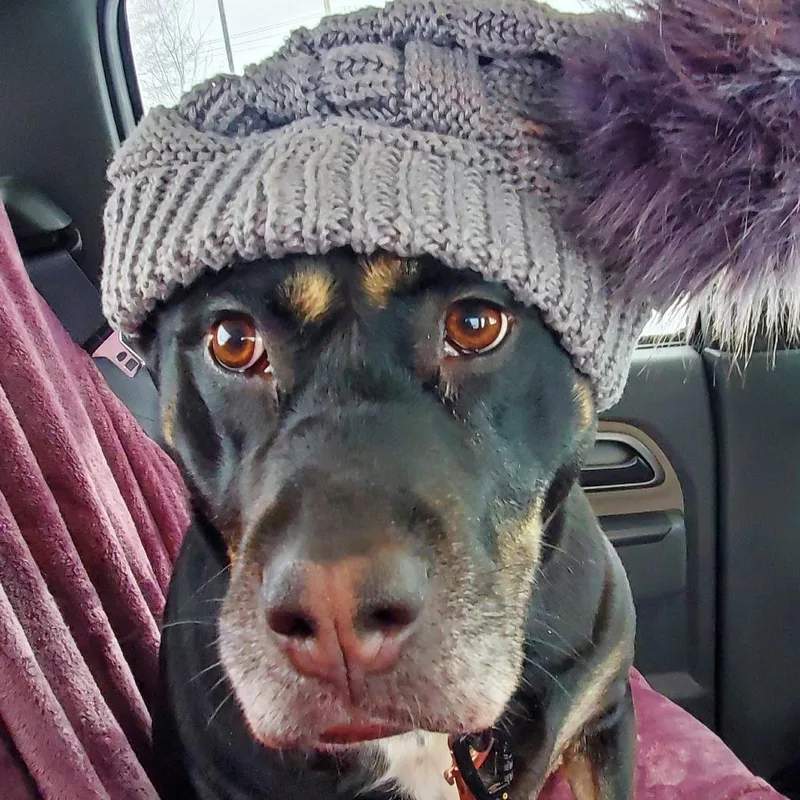 Lucy thumbnail 3
