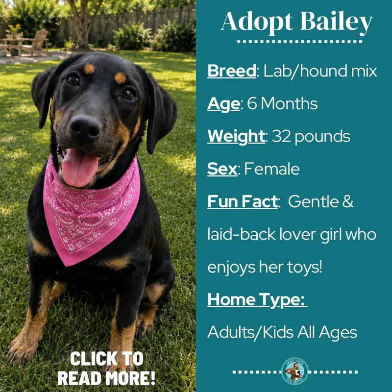 Bailey thumbnail 4