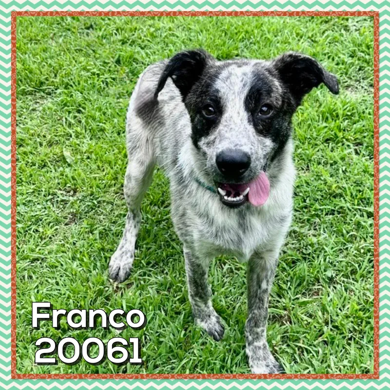 Franco thumbnail 3