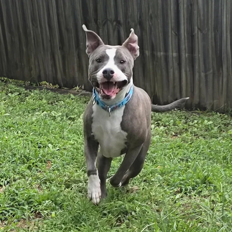 Cooper thumbnail 2