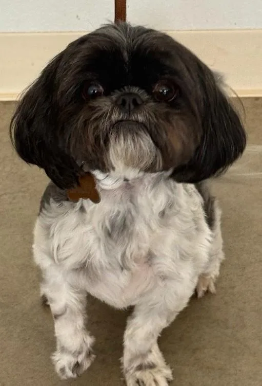 Bailey thumbnail 2