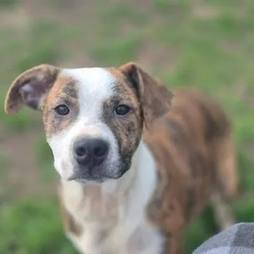Benny thumbnail 2
