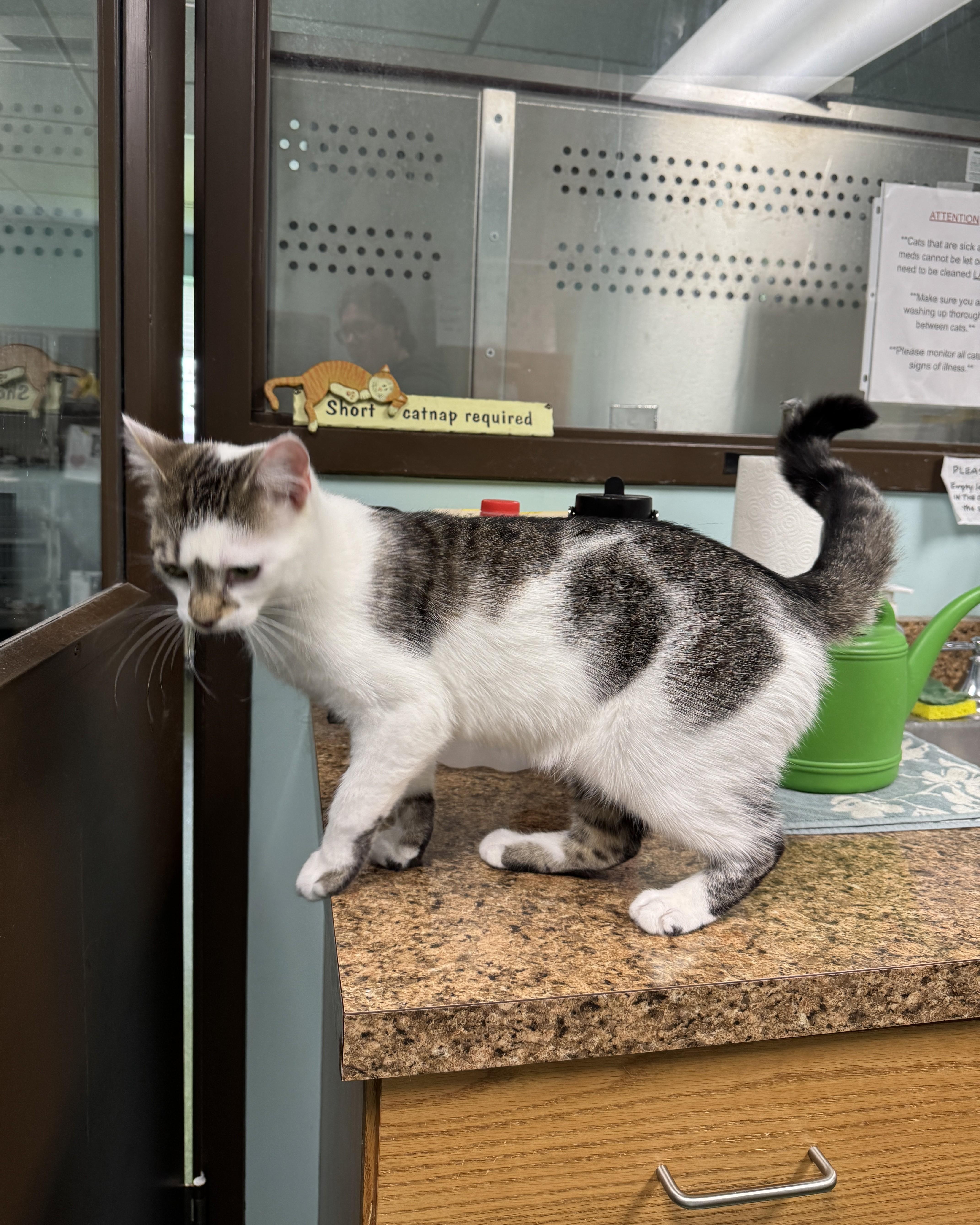 Hollywood thumbnail 2